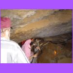 Tall Mans Torture.jpg